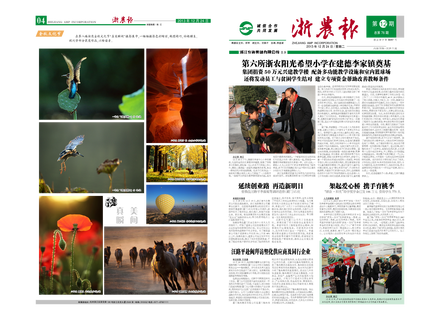 浙農(nóng)報(bào)2013年第12期（一、四版）